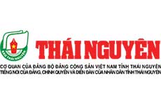 Mua thuốc nhanh chóng, chất lượng tại Trung Tâm Thuốc Central Pharmacy
