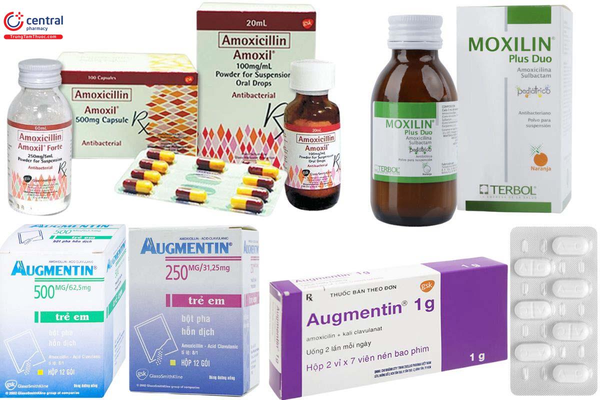 Các thuốc chứa Amoxicillin