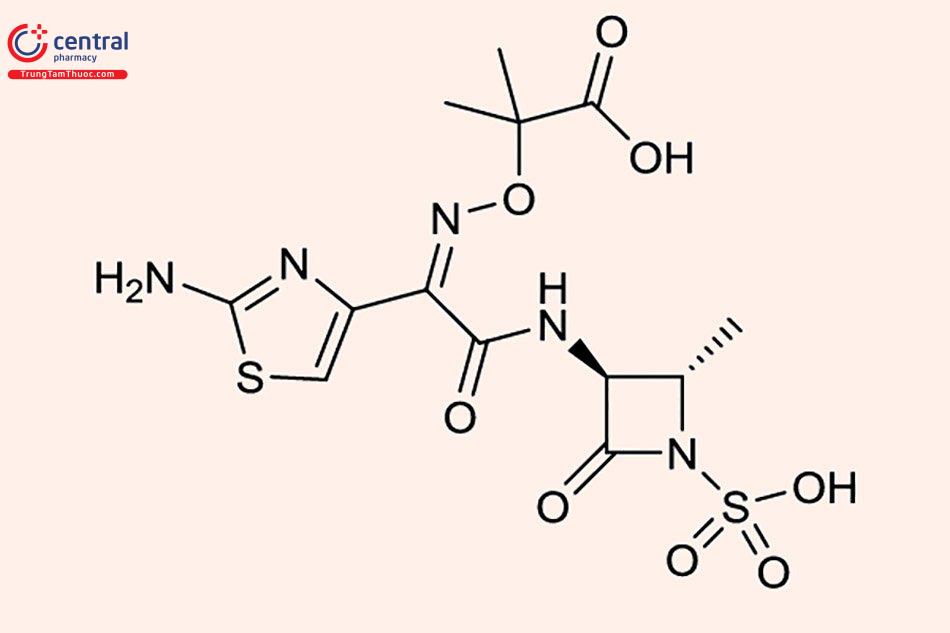 Cấu trúc hoá học kháng sinh aztreonam