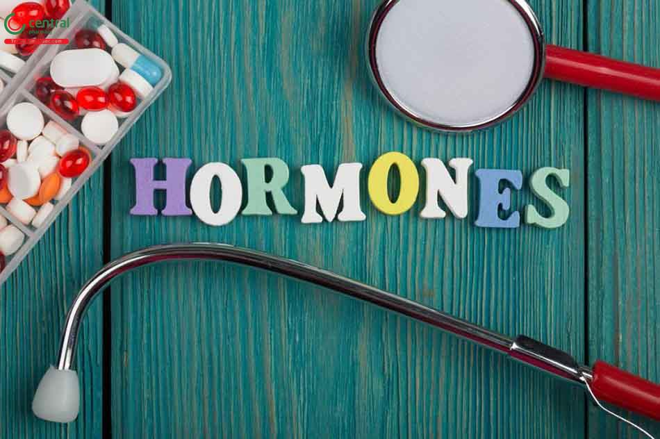 Hormon là gì?