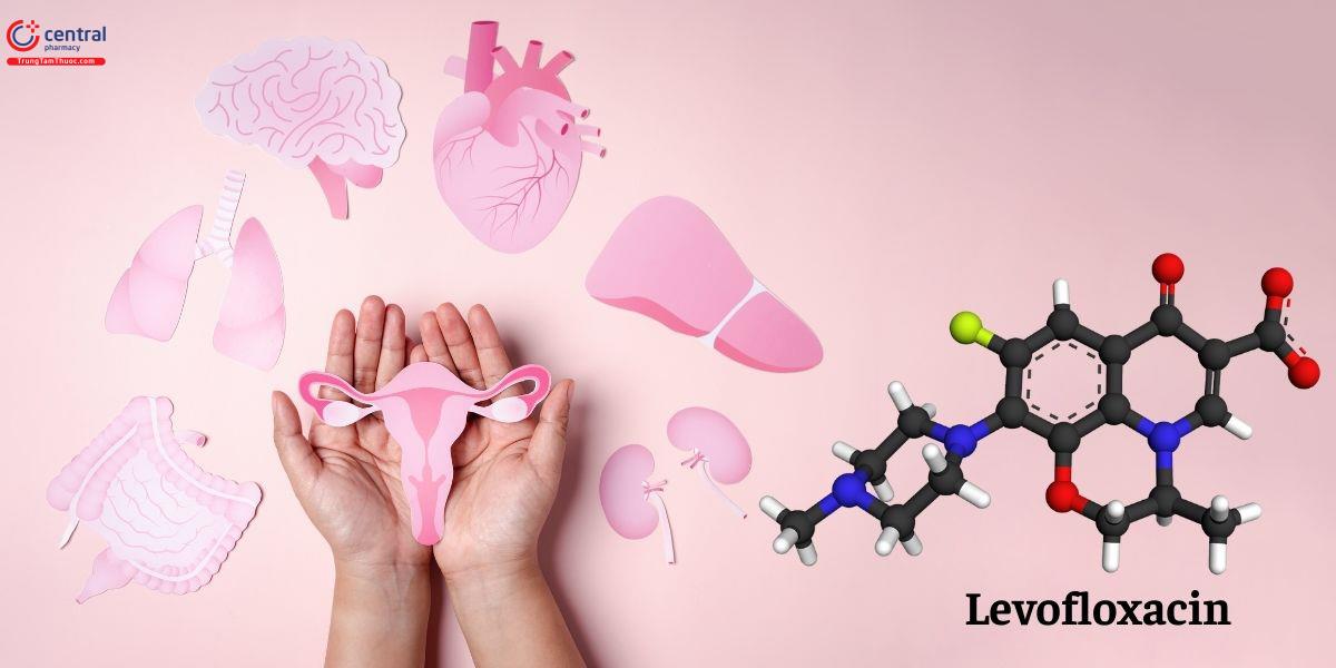 Levofloxacin điều trị các bệnh viêm nhiễm