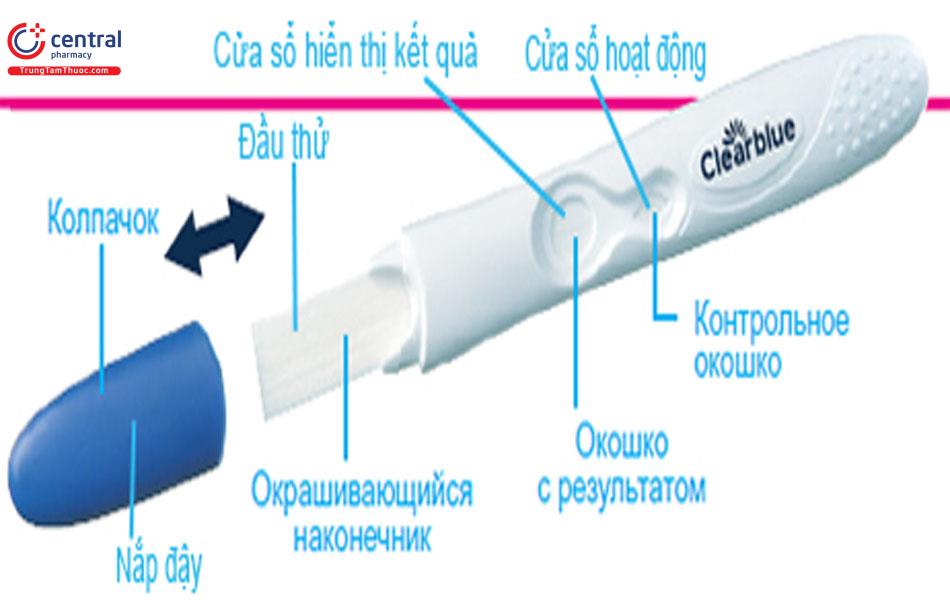 Cấu tạo của bút thử thai điện tử