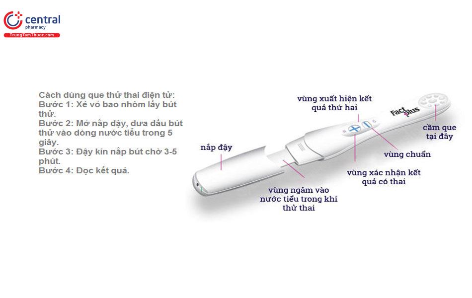 Cách sử dụng bút thử thai điện tử