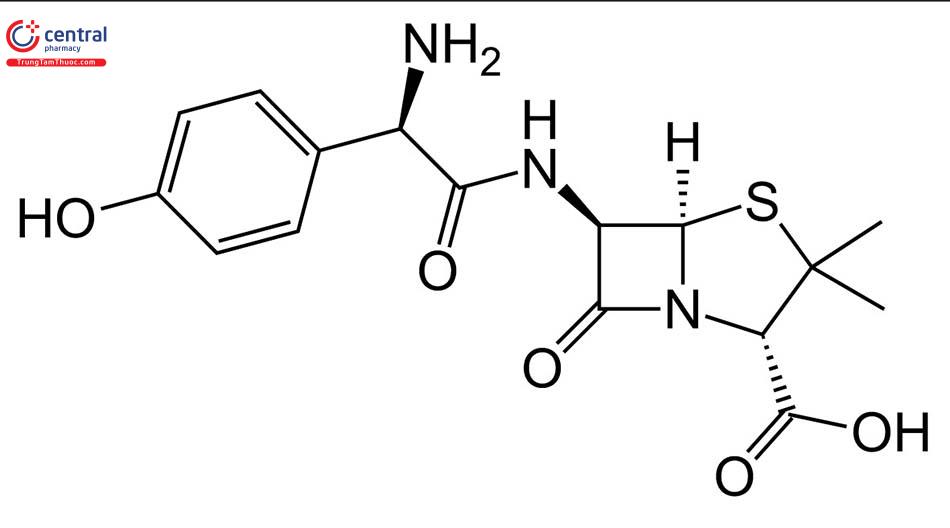 Công thức cấu tạo của Amoxicillin 