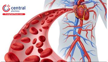 Máy xét nghiệm đếm tế bào dòng chảy và biện pháp kiểm soát chất lượng xét nghiệm đếm tế bào dòng chảy
