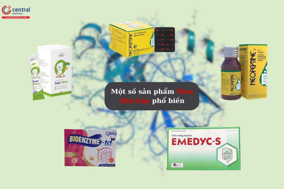 Các sản phẩm men tiêu hóa rất đa dạng