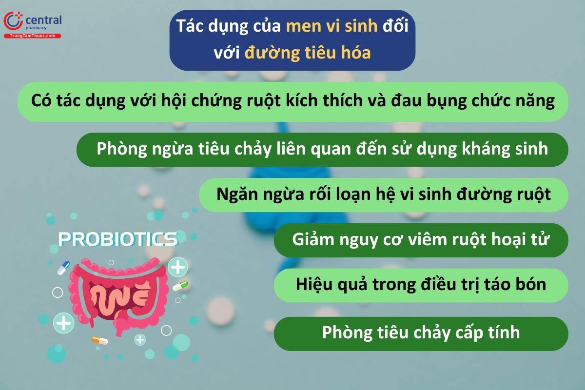 Men vi sinh có nhiều tác dụng trên đường tiêu hóa