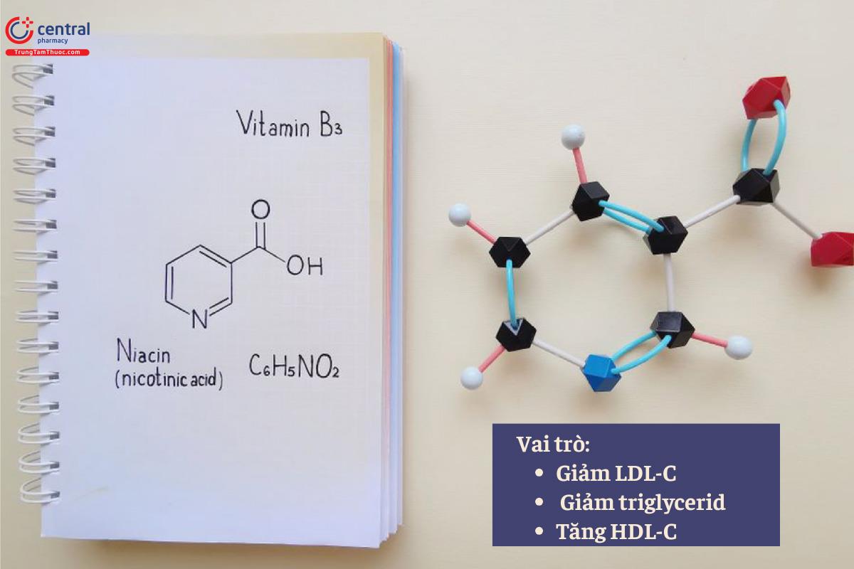 Axit nicotinic, còn được gọi là niacin, Vitamin B3