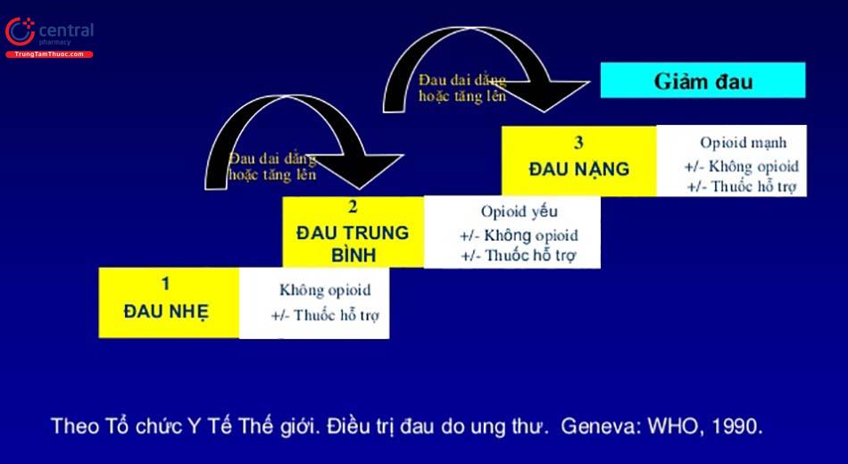 Thang giảm đau 3 bậc của WHO