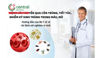 Bệnh lây truyền qua côn trùng, tiết túc, nhiễm ký sinh trùng trong máu, mô - Hướng dẫn của Bộ Y tế về chỉ định xét nghiệm vi sinh