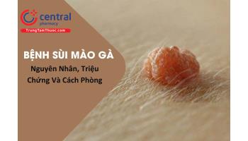 Bệnh sùi mào gà (mụn cóc sinh dục): nguyên nhân, dấu hiệu và cách phòng