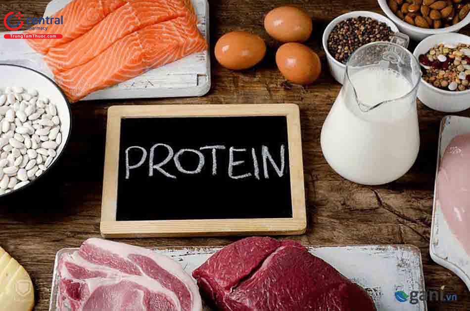 Sữa bổ sung Protein cho bà bầu