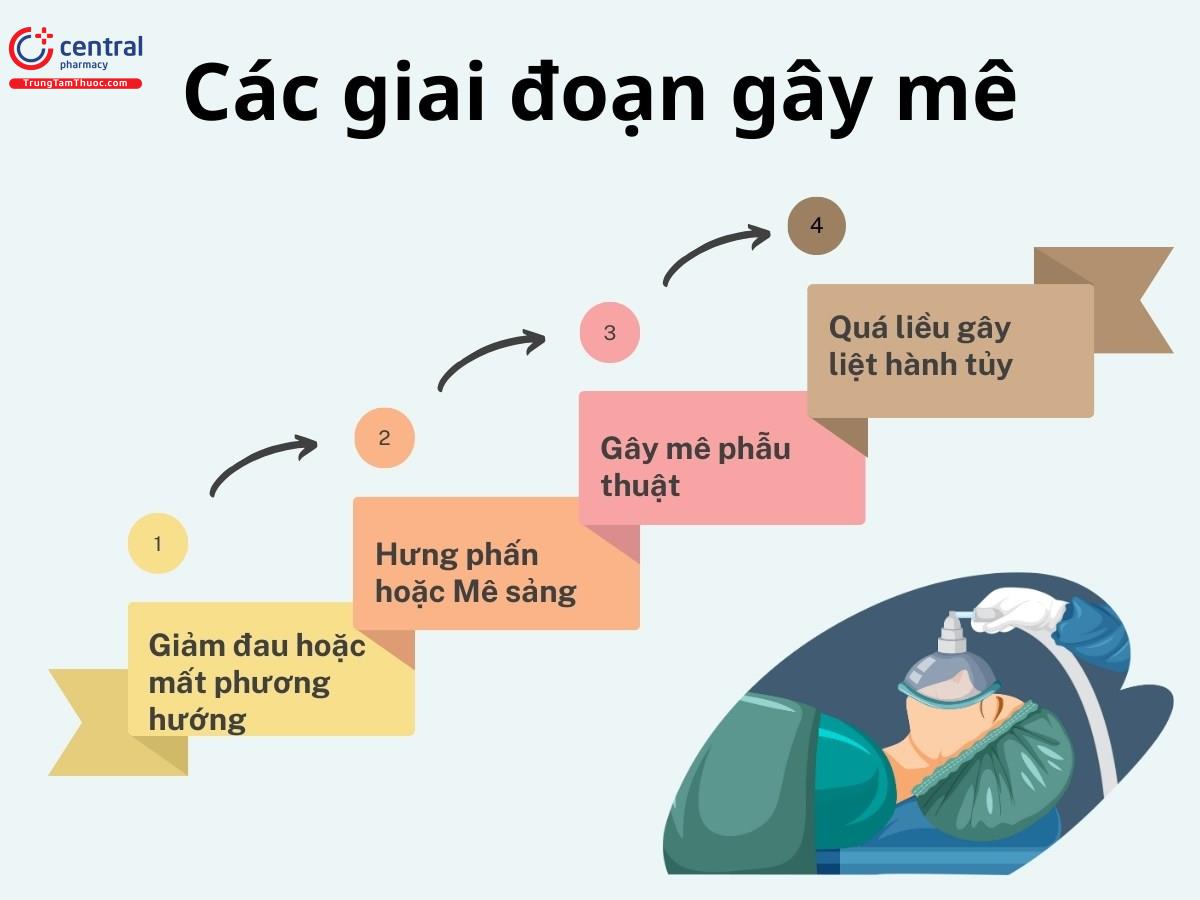 Các giai đoạn gây mê