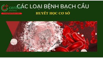 Tìm hiểu các bệnh lý thường gặp trên lâm sàng gây tăng, giảm bạch cầu