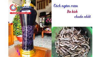 Cách ngâm rượu Ba kích tươi, khô an toàn và hiệu quả nhất