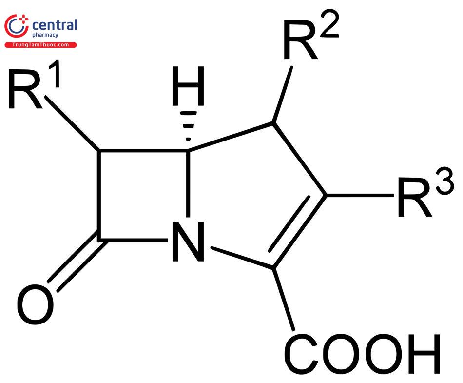 Cấu trúc hoá học nhóm Carbapenem