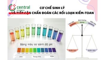 Cơ chế sinh lý và tiếp cận chẩn đoán các rối loạn kiềm-toan