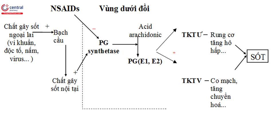 Cơ chế hạ sốt của NSAID