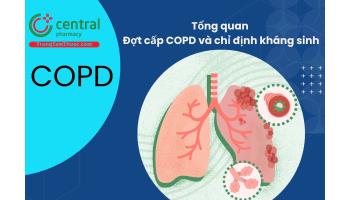Tổng quan: Đợt cấp COPD và chỉ định kháng sinh