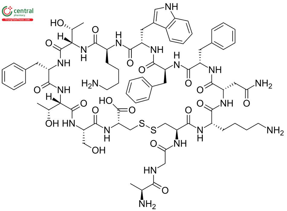 Cấu trúc hoá học của Somatostatin