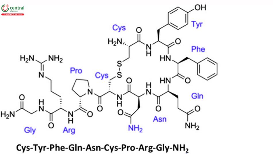 Cấu trúc hoá học của hormon ADH