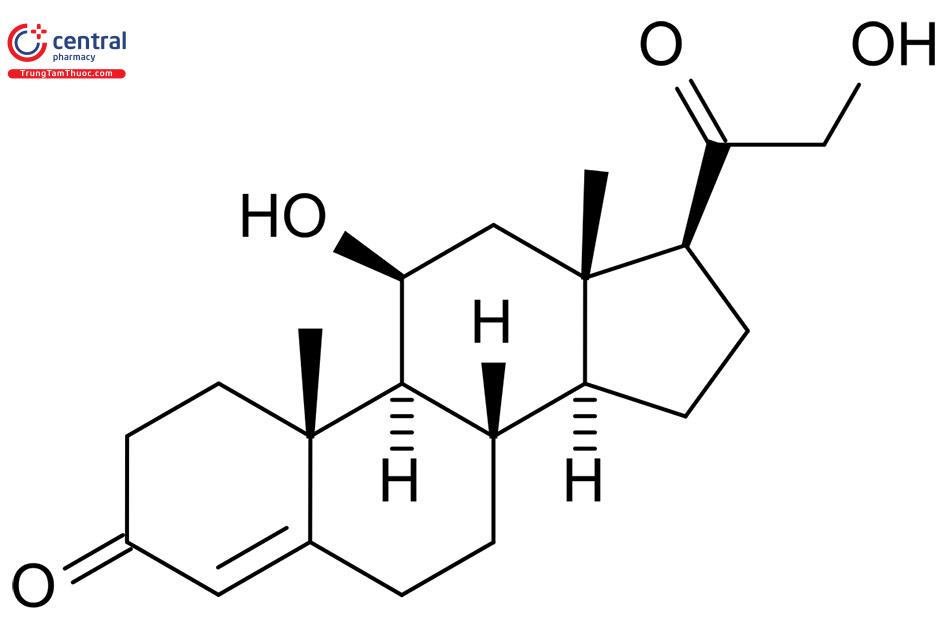 Cấu trúc hoá học của Corticoid