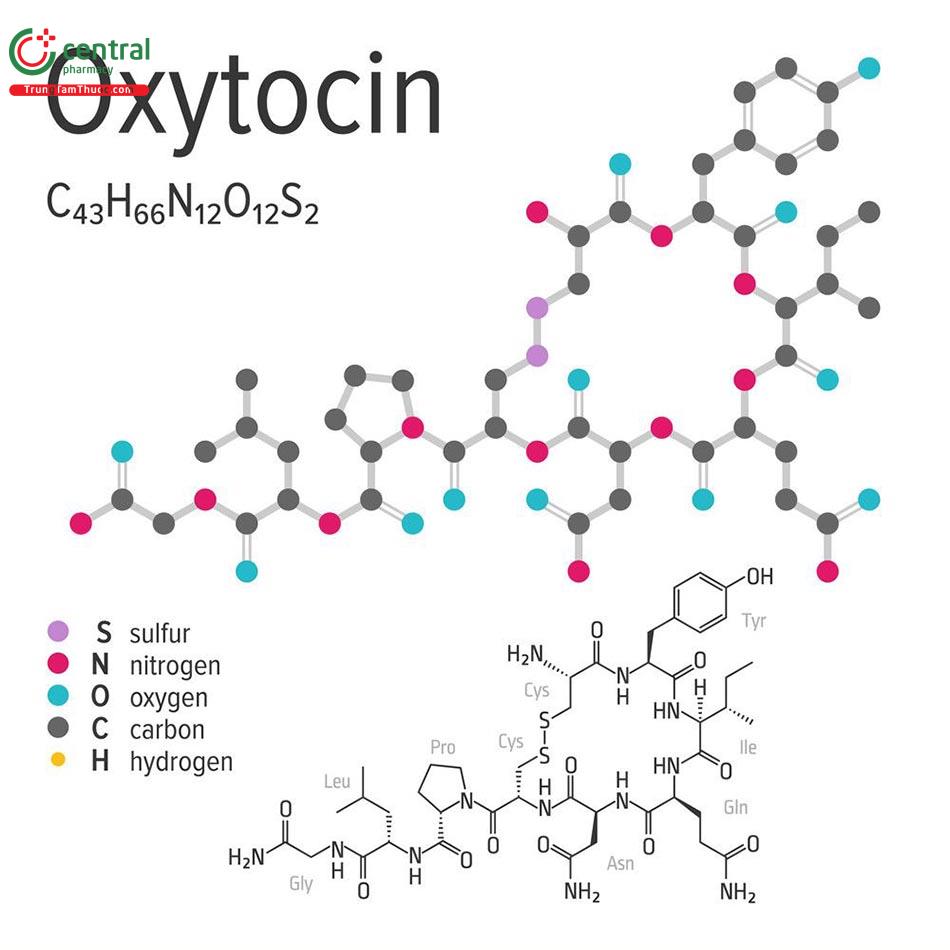 Cấu trúc hoá học của hormon Oxytocin