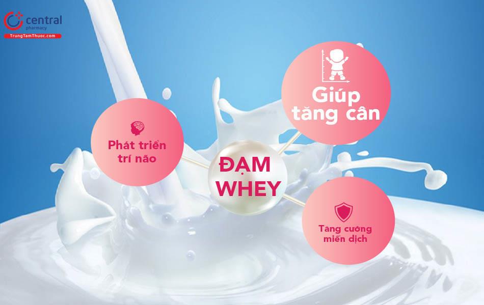Hình ảnh minh họa vai trò của đạm Whey