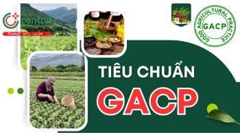 Tiêu chuẩn GACP là gì? Cách đạt giấy chứng nhận, vai trò của GACP-WHO