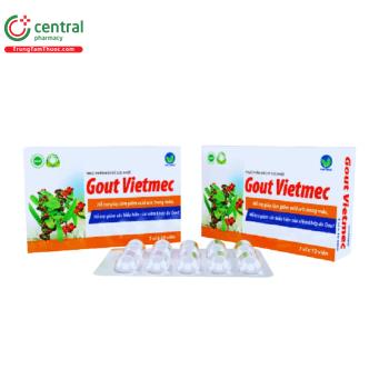 Gout Vietmec