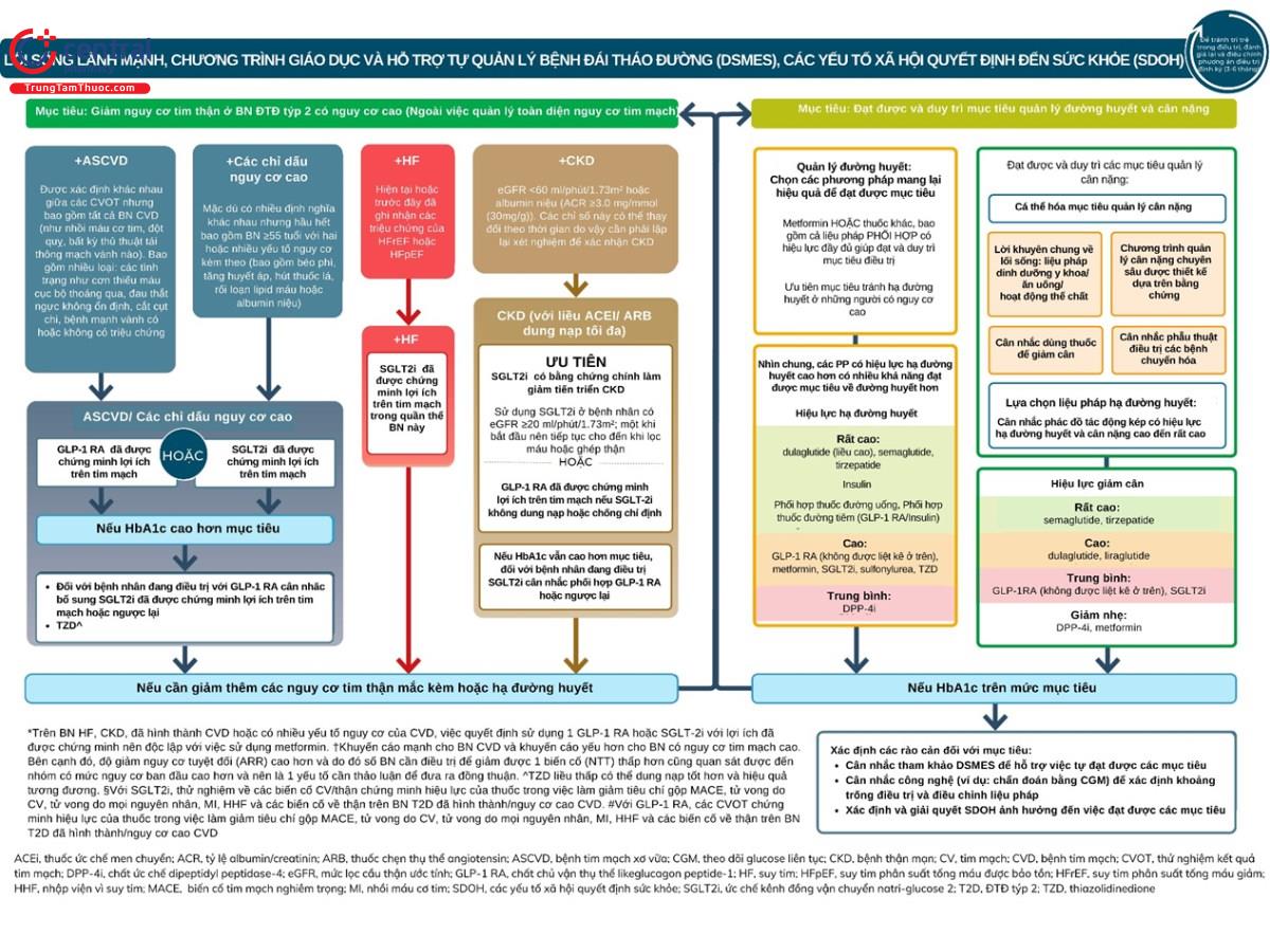 Bảng hướng dẫn tiếp cận tổng quát điều trị đái tháo đường tuýp 2