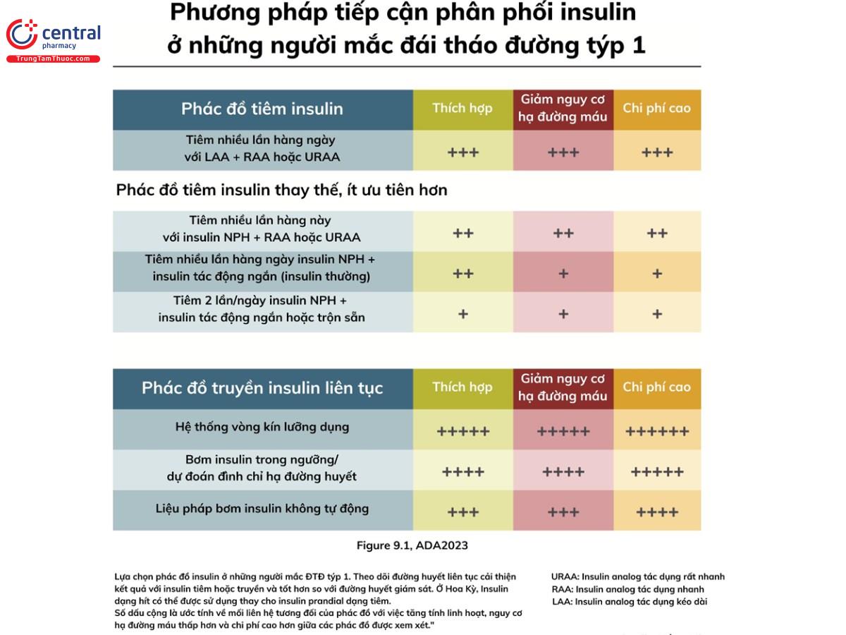 Tóm tắt phương pháp tiếp cận phân phối insulin đối với bệnh nhân đái tháo đường tuýp 1