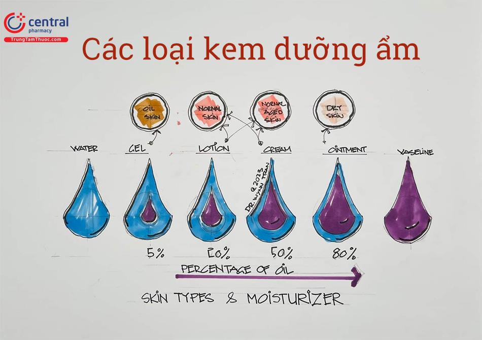 Cấu trúc các loại kem dưỡng ẩm