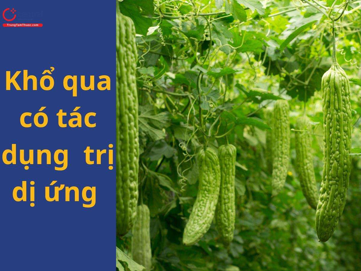 ​Sử dụng khổ qua để chữa dị ứng da mặt
