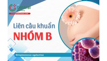 Xét nghiệm liên cầu khuẩn nhóm B (GBS) từ tuần bao nhiêu khi mang thai, hết mấy tiền