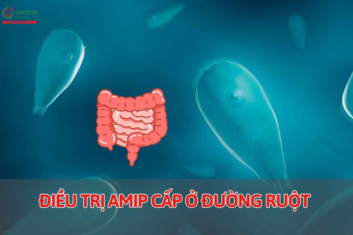 Chỉ định của Metronidazole