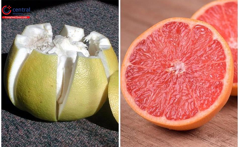 Hình ảnh bưởi chùm (bên phải) và bưởi ta (bên trái)