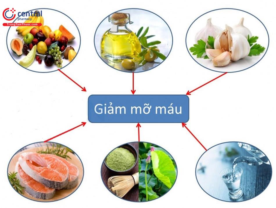 Các thực phẩm người mỡ máu cao nên ăn