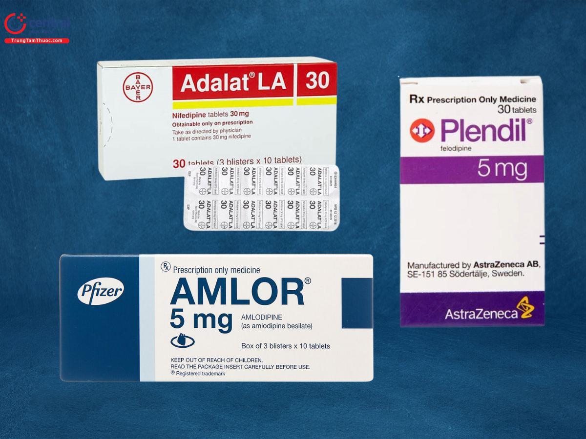 Một số chế phẩm thuốc nhóm chẹn kênh canxi