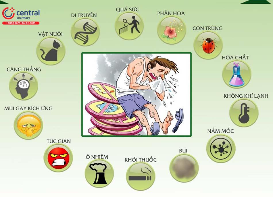 Nguyên nhân hen phế quản