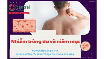 Nhiễm trùng da và niêm mạc - Hướng dẫn của Bộ Y tế về chỉ định xét nghiệm vi sinh