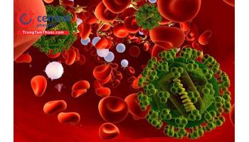 Xử trí đúng cách, kịp thời nhiễm trùng huyết và sốc nhiễm trùng ở người cao tuổi