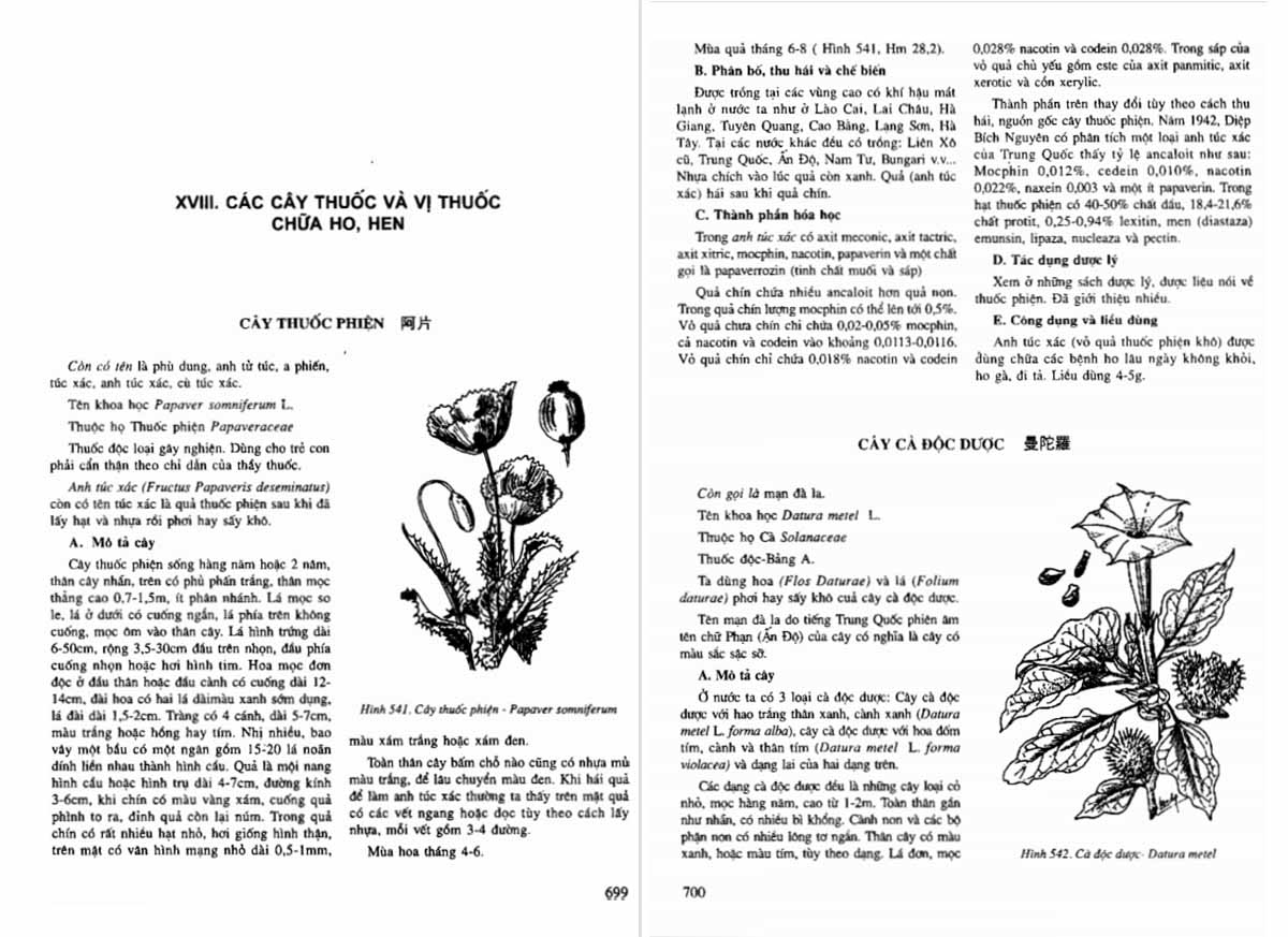 Phụ lục tra cứu hình ảnh màu