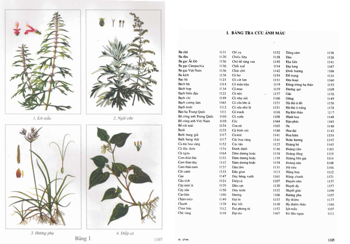 Phụ lục tra cứu hình ảnh màu