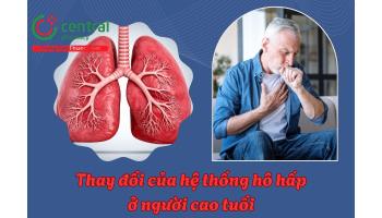Những thay đổi của hệ thống hô hấp ở người cao tuổi