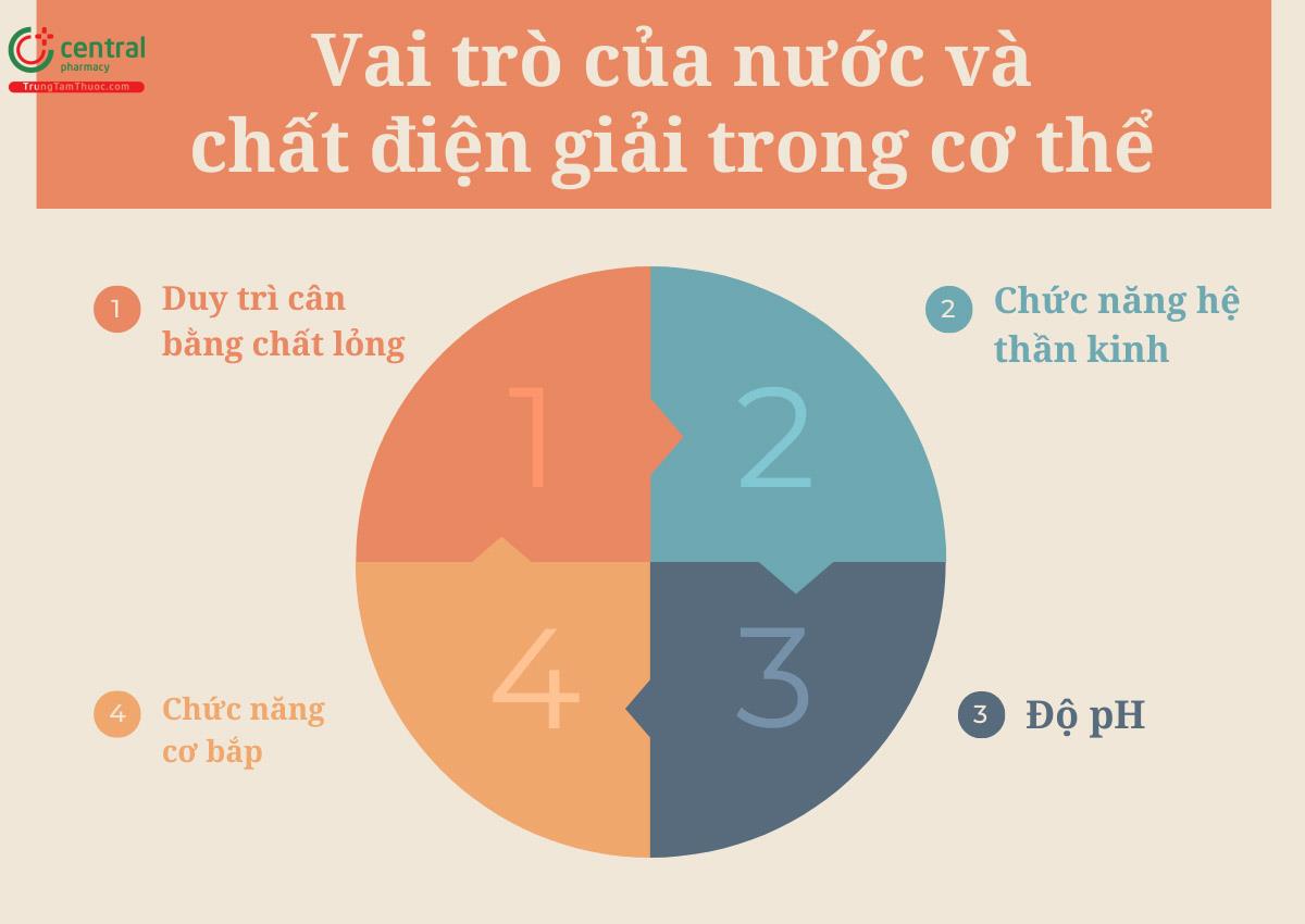 Vai trò của nước và chất điện giải trong cơ thể