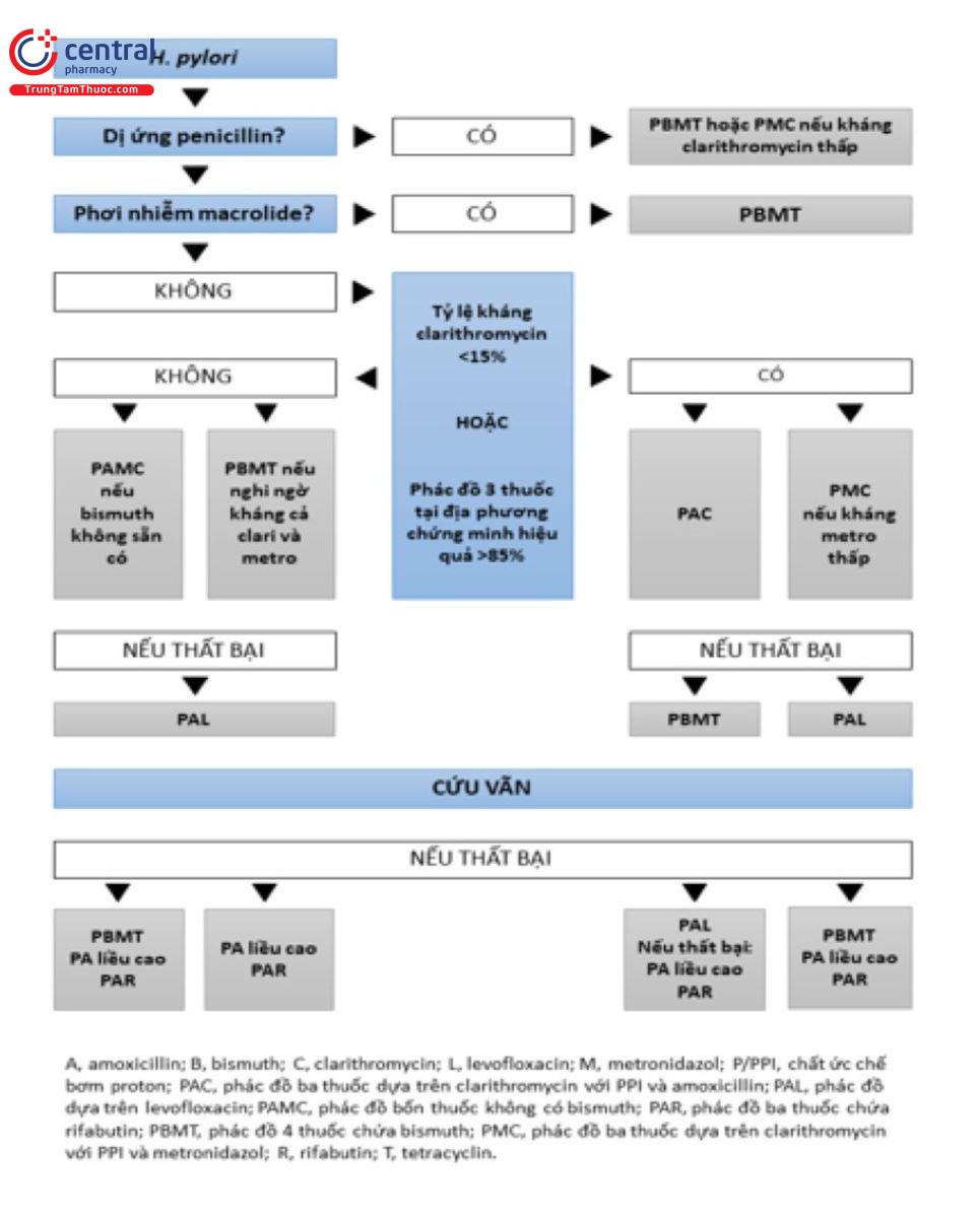 Tóm tắt phác đồ điều trị loét dạ dày - tá tràng do nhiếm vi khuẩn H.pylori theo WGO năm 2021