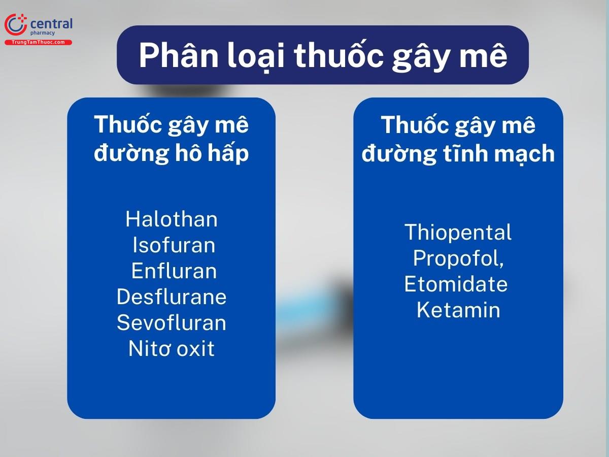 Phân loại thuốc gây mê theo đường dùng