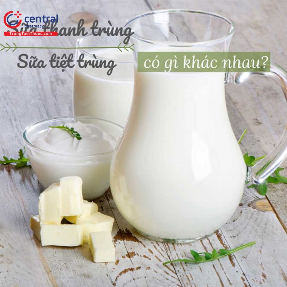 Sữa thanh trùng tiệt trùng khác nhau như thế nào?