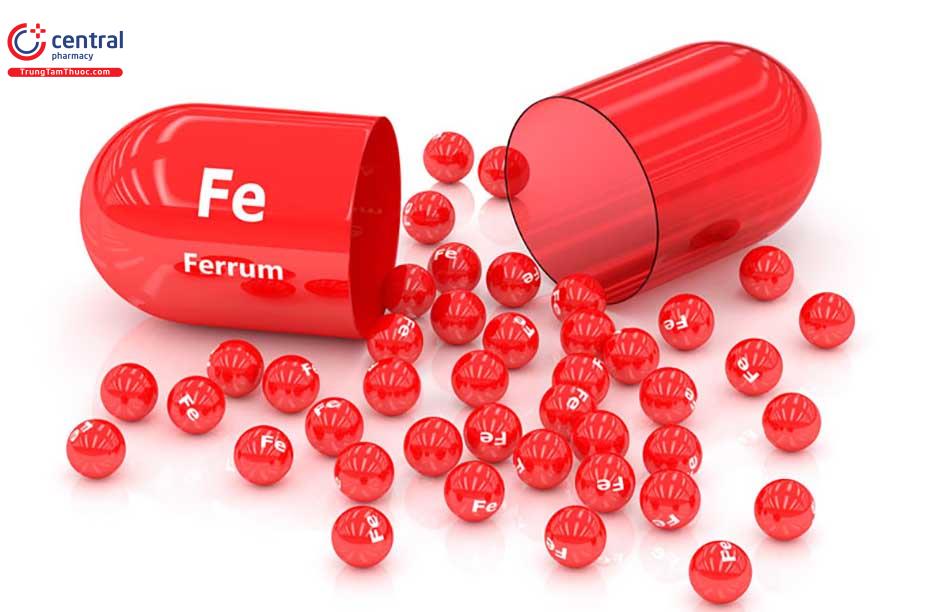 Sắt - nguyên tố vi lượng quan trọng